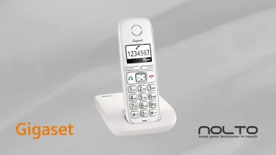 Gigaset E260 DECT Telsiz Telefon