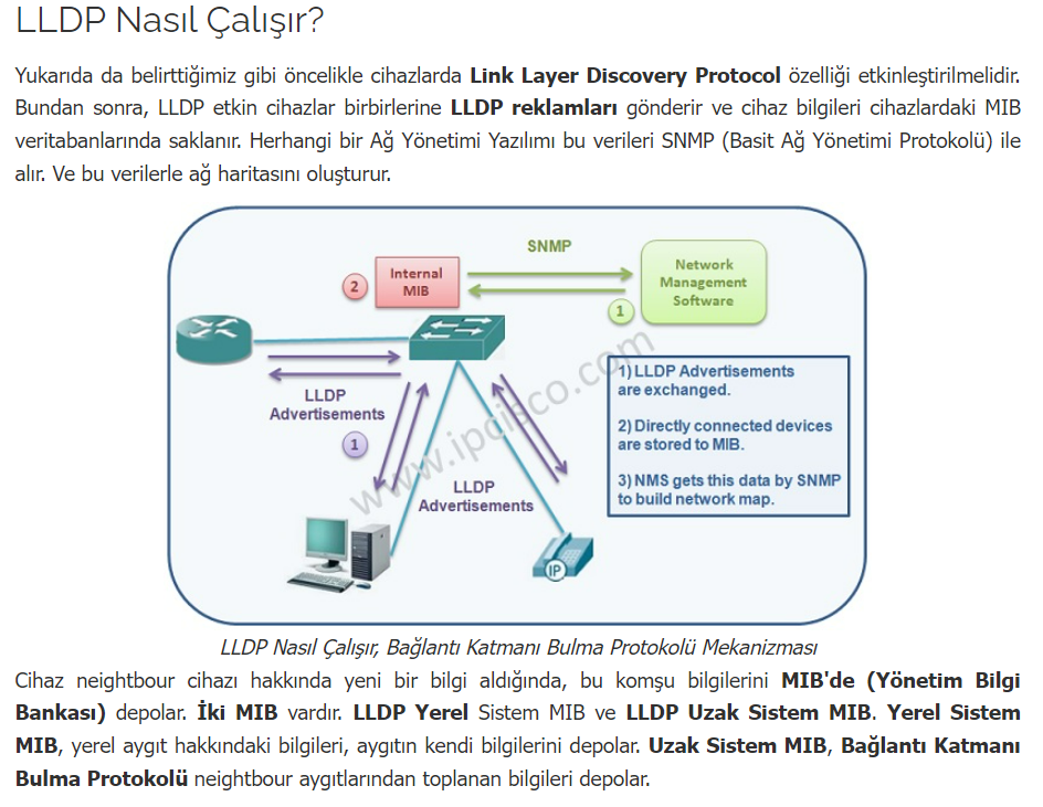 LLDP Link Layer Discovery Protocol Nedir